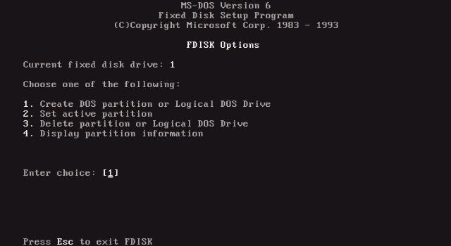 FDISK in MS-DOS 6.0
